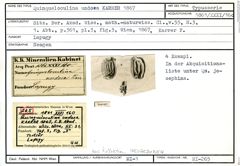 Karteikarte zum Syntyp von Quinqueloculina undosa Karrer, 1867